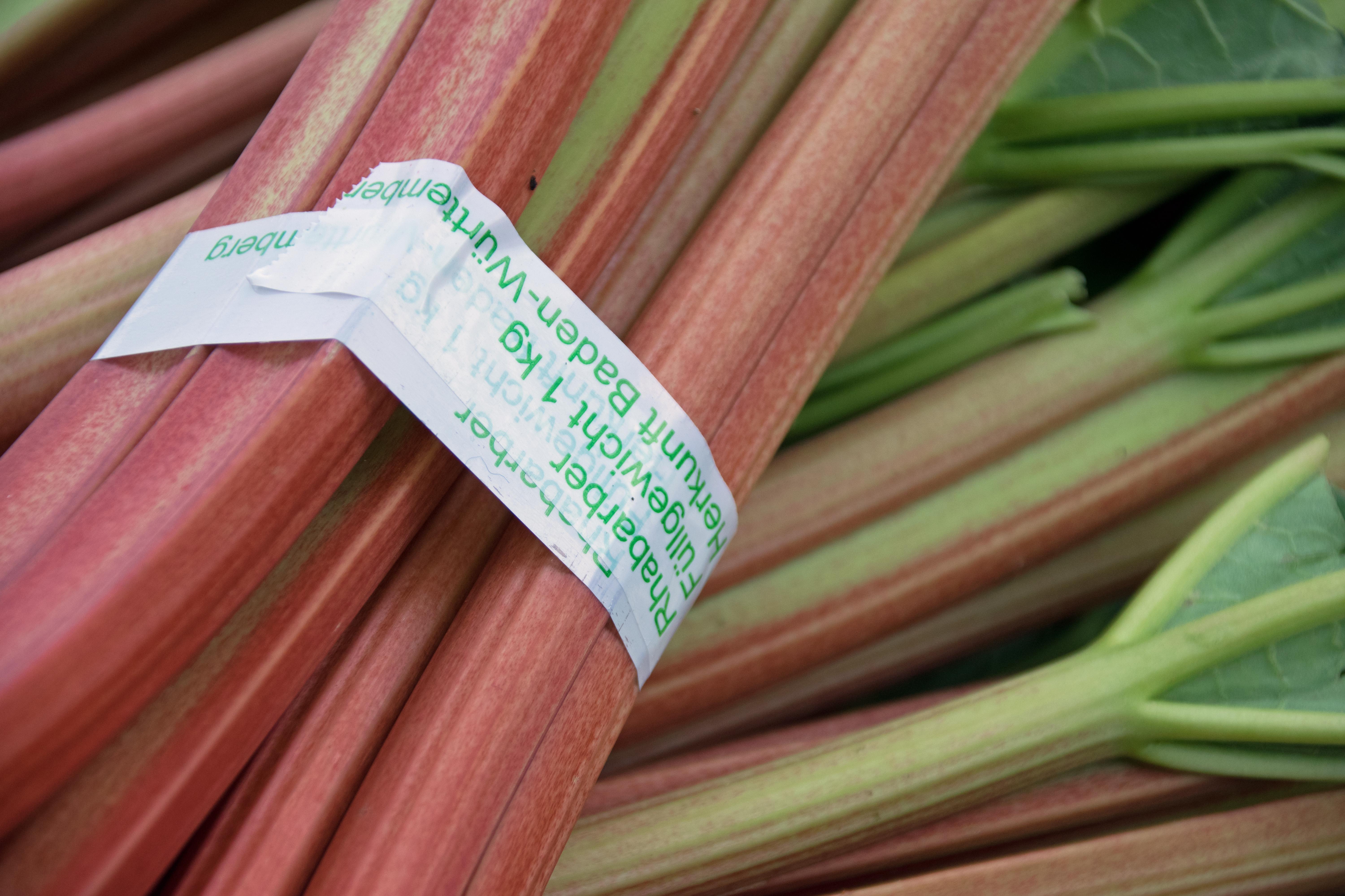 Rhabarber - Sigloch Rhabarber